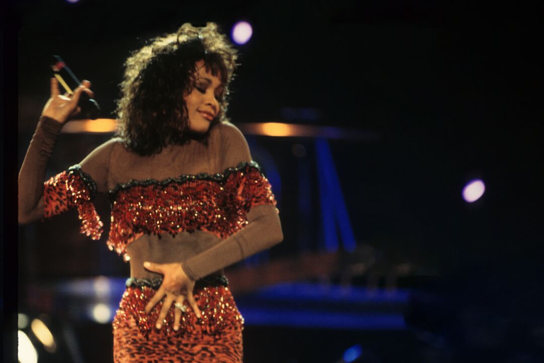 Whitney Houston – The Concert for a New South Africa (Durban)